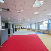 OVP_8777